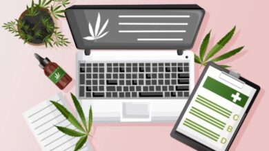 cannabis business social network