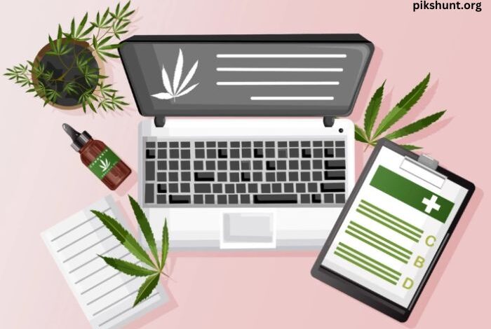 cannabis business social network